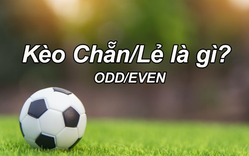 Kèo chẵn lẻ là gì? Tuyệt chiêu chơi kèo chẵn lẻ thông minh Tìm hiểu khái niệm kèo chẵn lẻ là gì