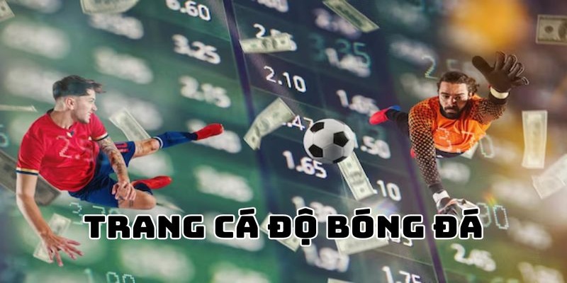 Trang cá độ bóng đá cung cấp nội dung gì?